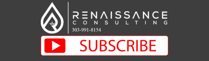 YT subscribe - Renaissance Consulting